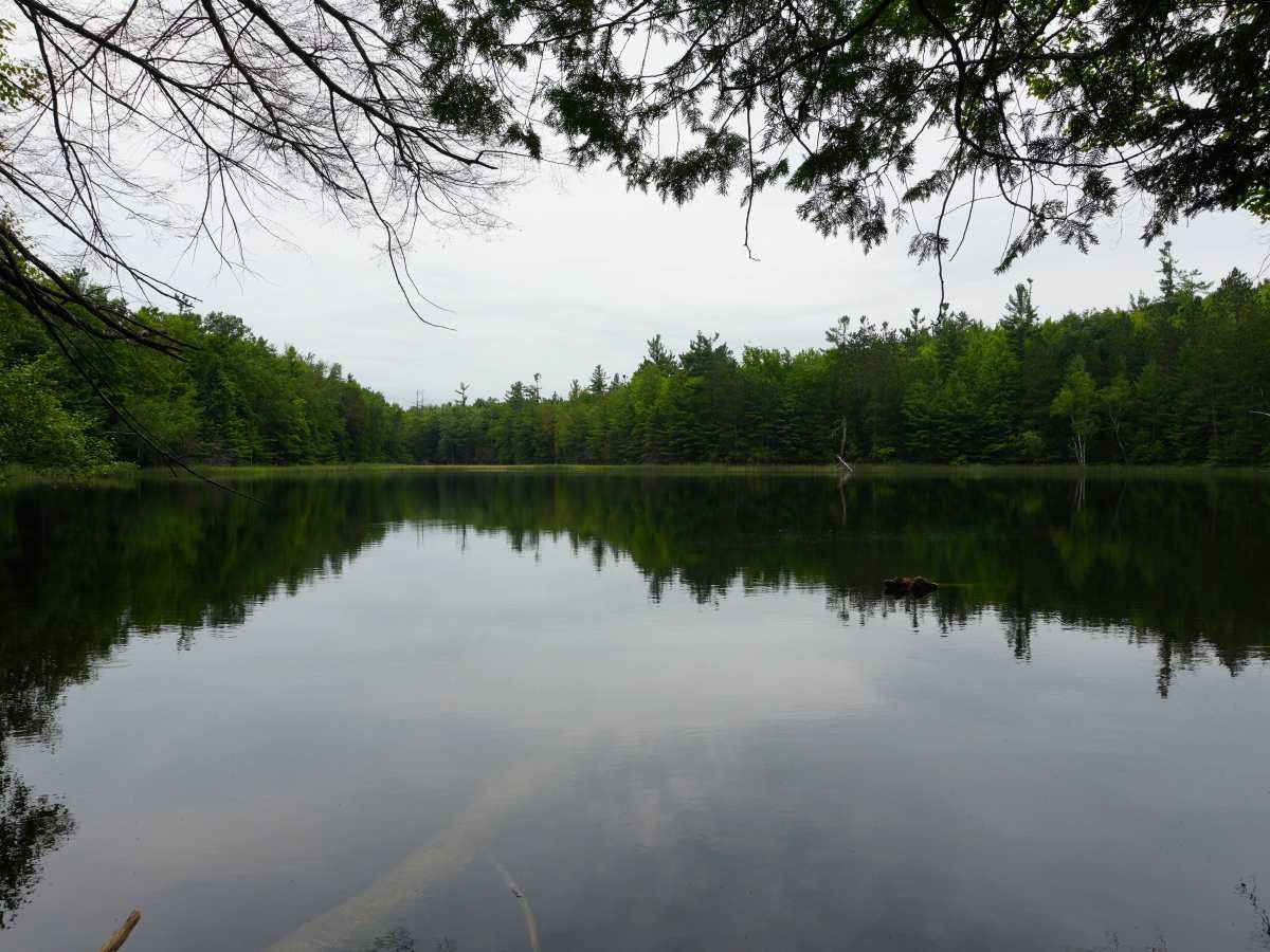 Hemlock Lake Trail photo 4