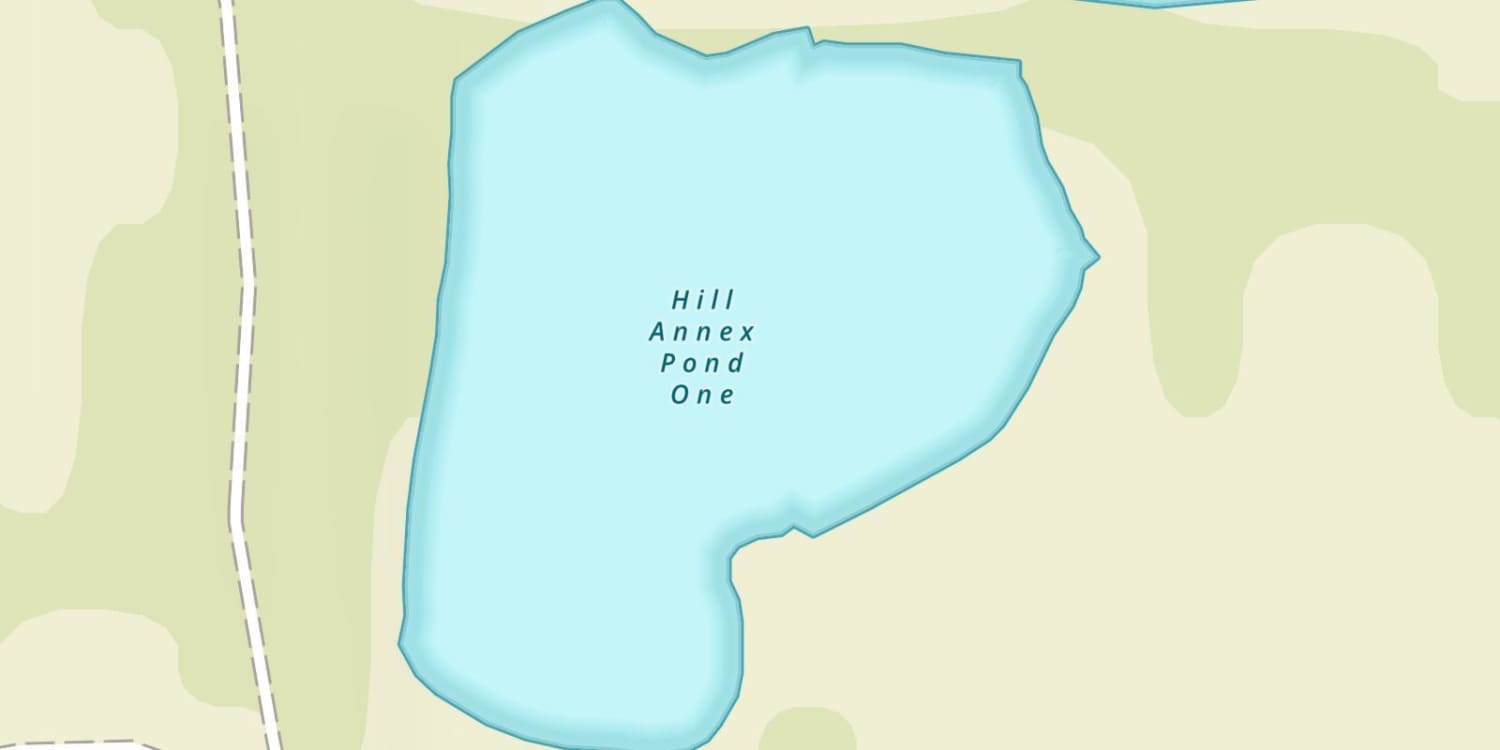 Hill Annex Pond One