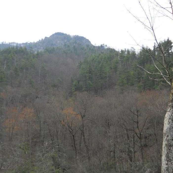 Near Wolf Pit Trail