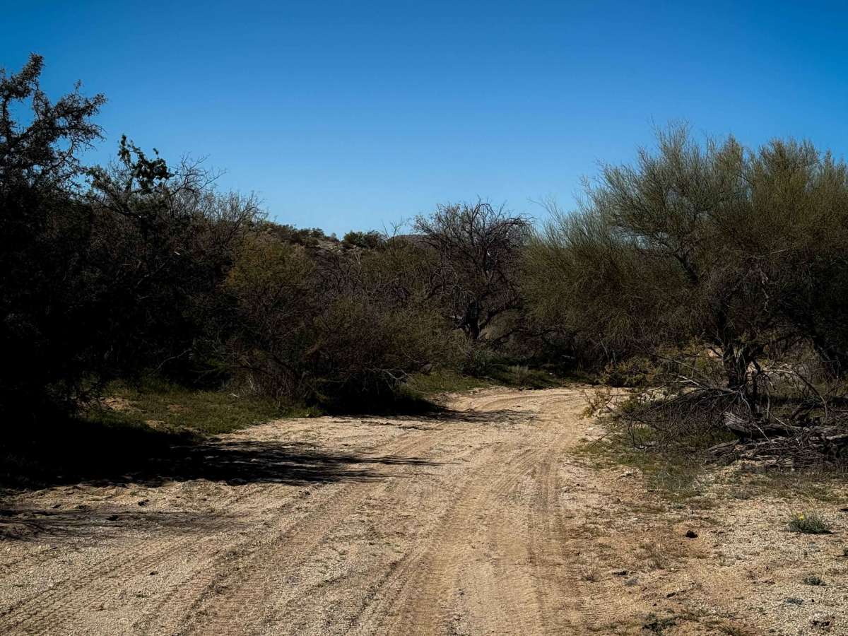Freeman Road Wash photo 3