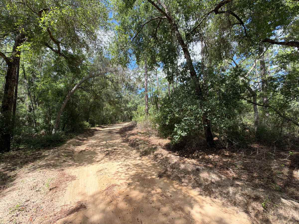 Little Tomahawk - FS 314A-3.9A trail photo