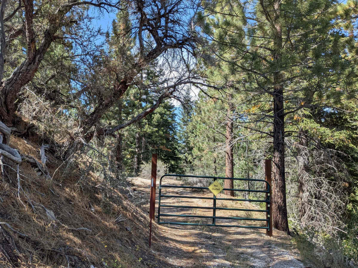 Leviathan Mine Road photo 4
