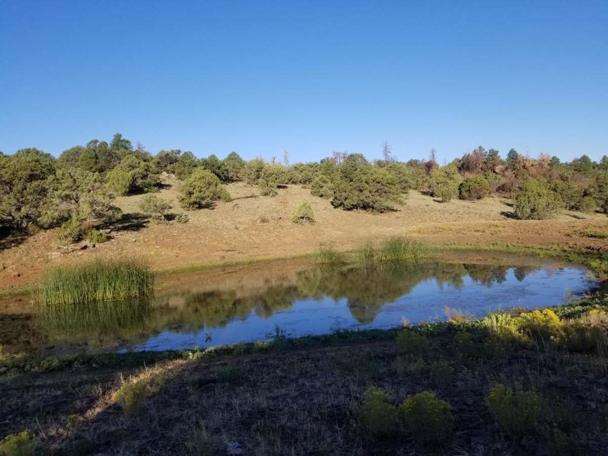 Clear Creek Canyon(FR-677) photo 2
