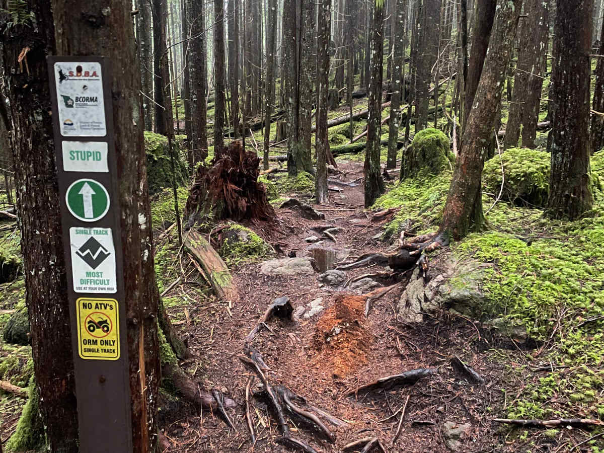 Stupid trail photo