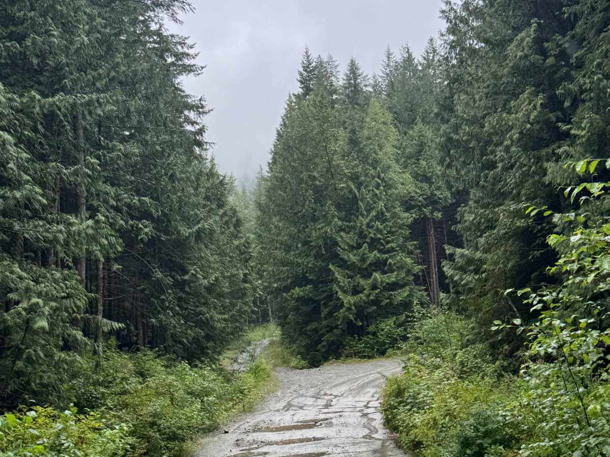 Lost Twin trail photo