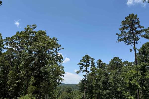 West Fork Camp Road
