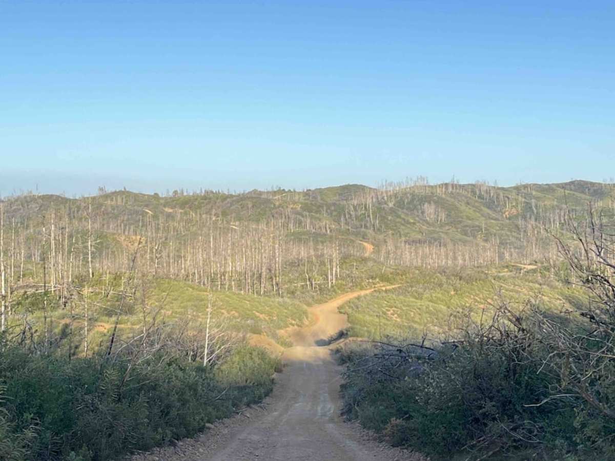 Mendo-Lake Road photo 6