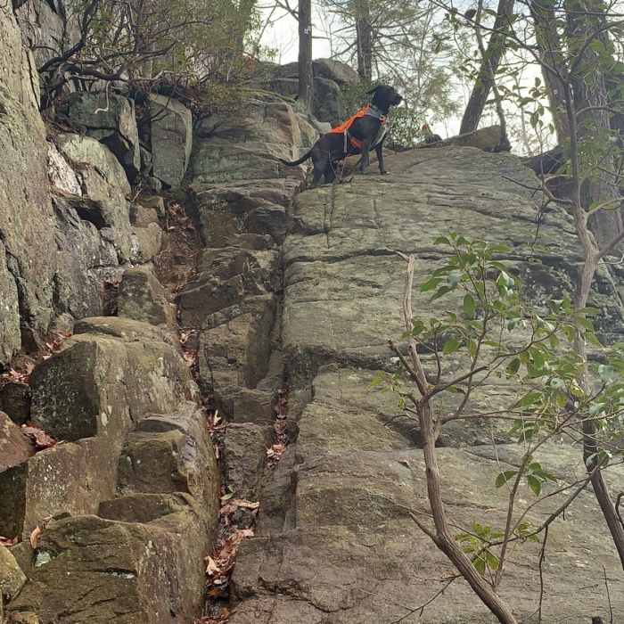 Near Tuxedo - Ramapo Torne - Dutch Dr loop