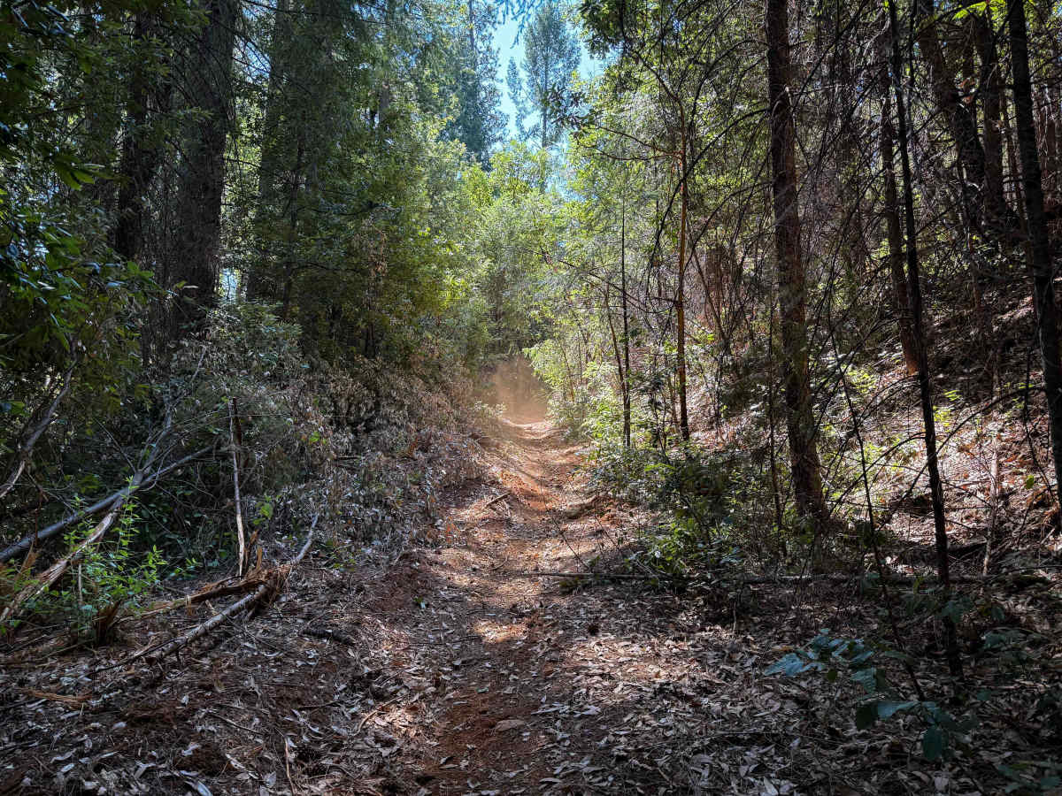 Trail 6-2 (11E52)  trail photo