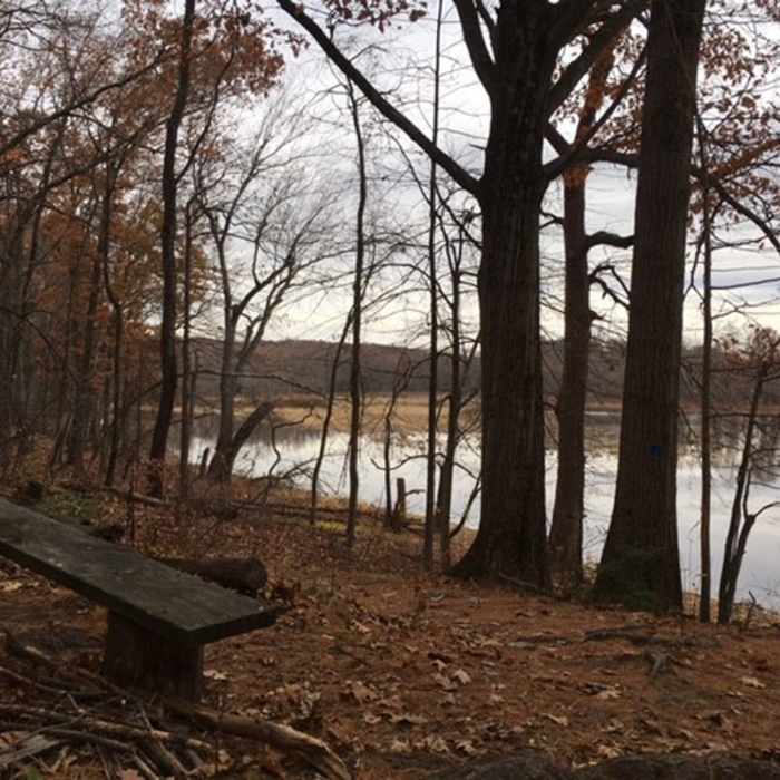 Bench overlooking Mill River and marsh. Near Arcadia Walking Loop (No Running Allowed)