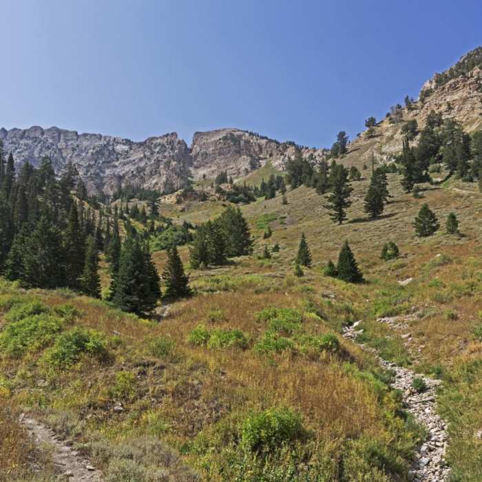 Near South Willow Lake Trail Near South Willow Lake Trail