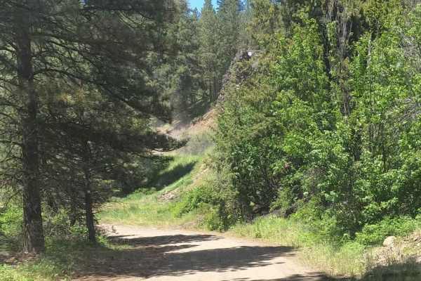 Barber Springs Road