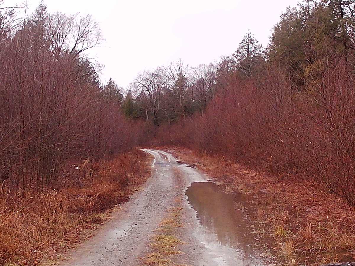 West Huckle Run Road photo 2