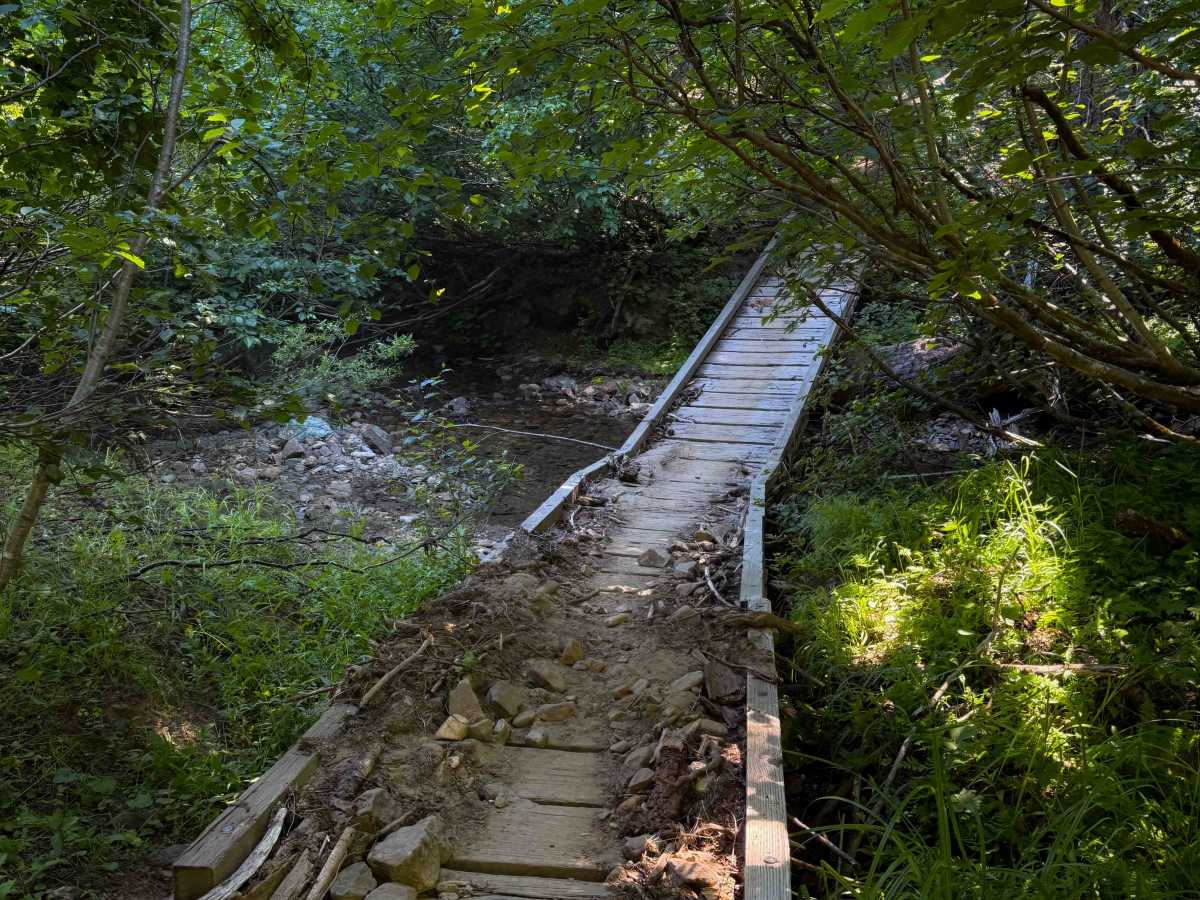 Cub Creek - FS 943A  trail photo