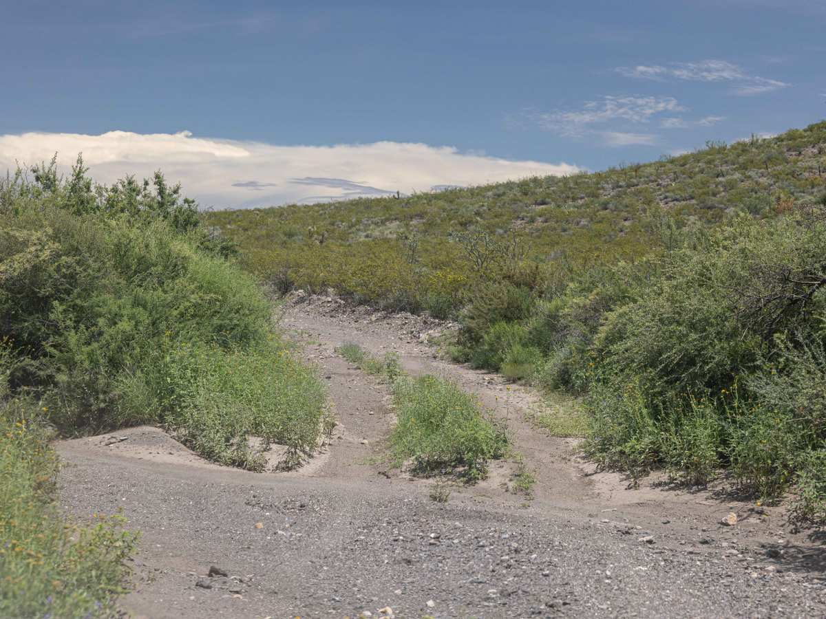BBRSP - Solitario Road photo 3
