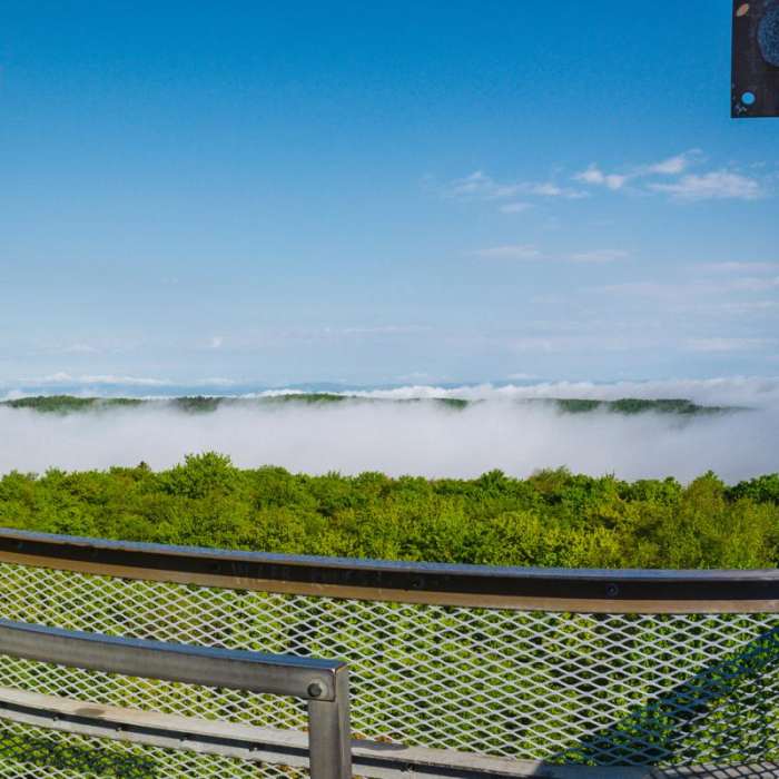 Near Gile Mountain Near Gile Mountain