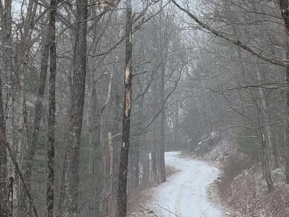 Tray Mountain Trail photo 3