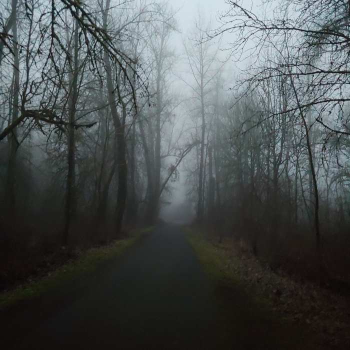 Near Salmon Creek Greenway Side Trail