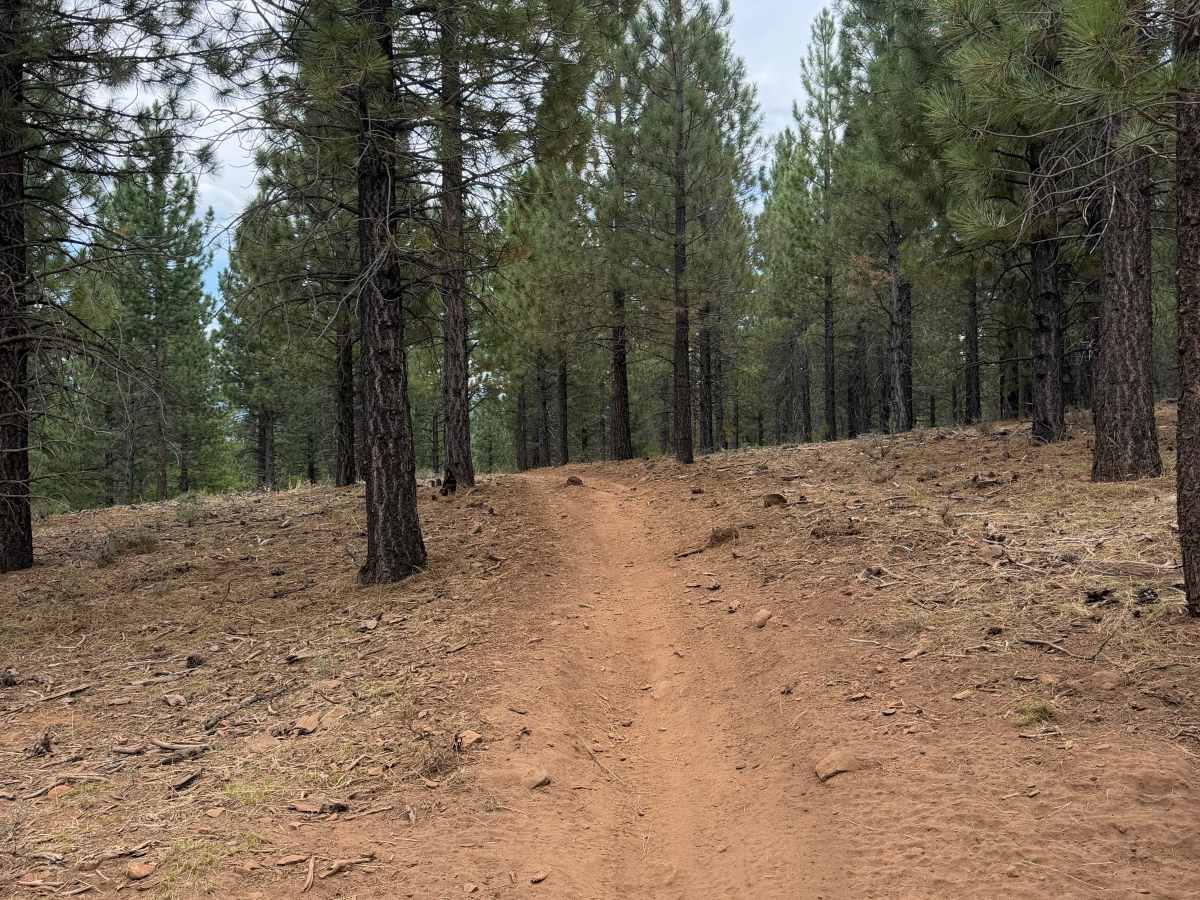 #14 trail photo