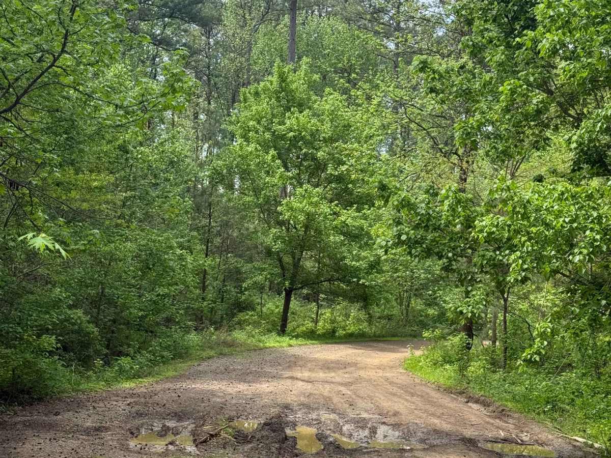 Nix Hollows trail photo