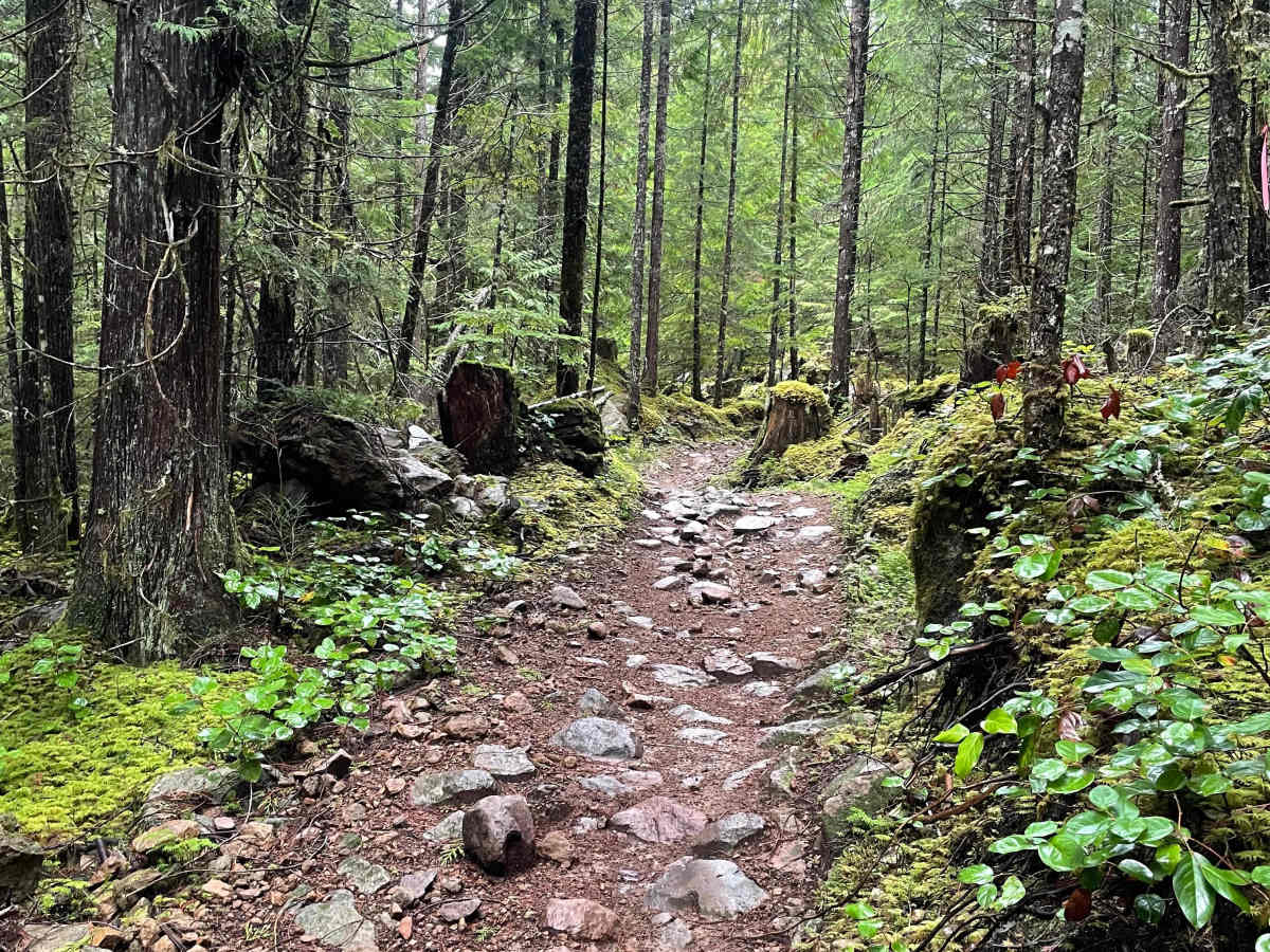 Ridge Connector photo 2