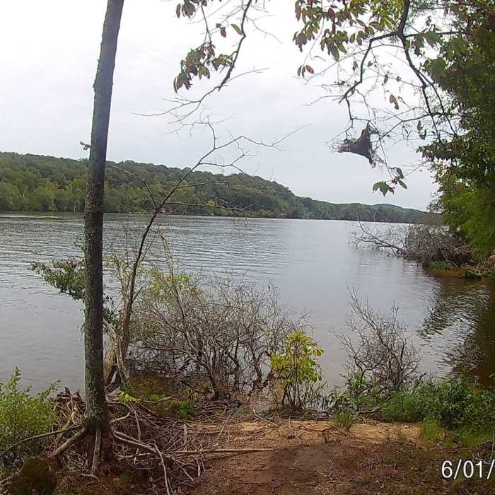 Near Fall Mountain Trail
