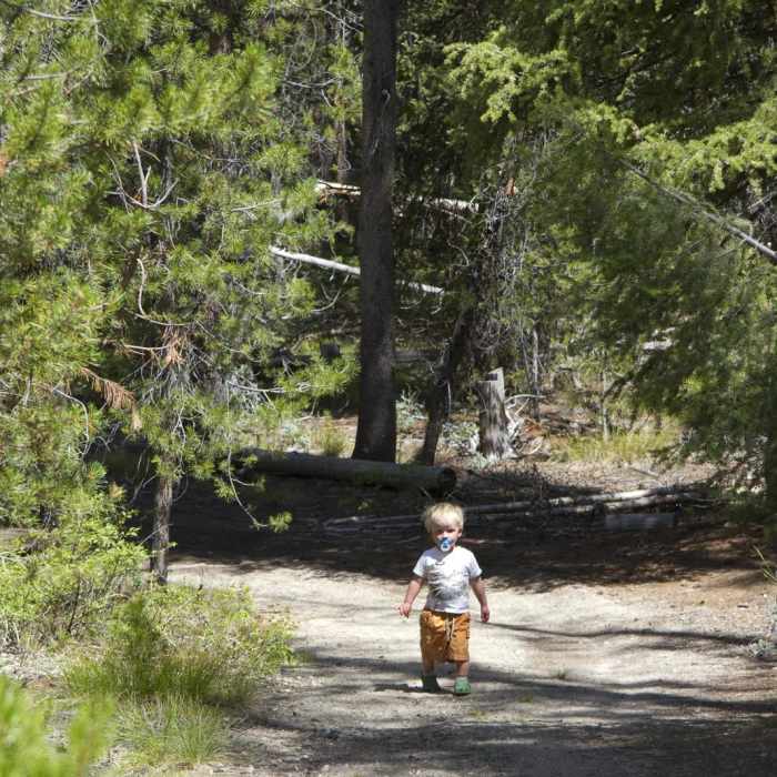 Near Alturas Lake Trail