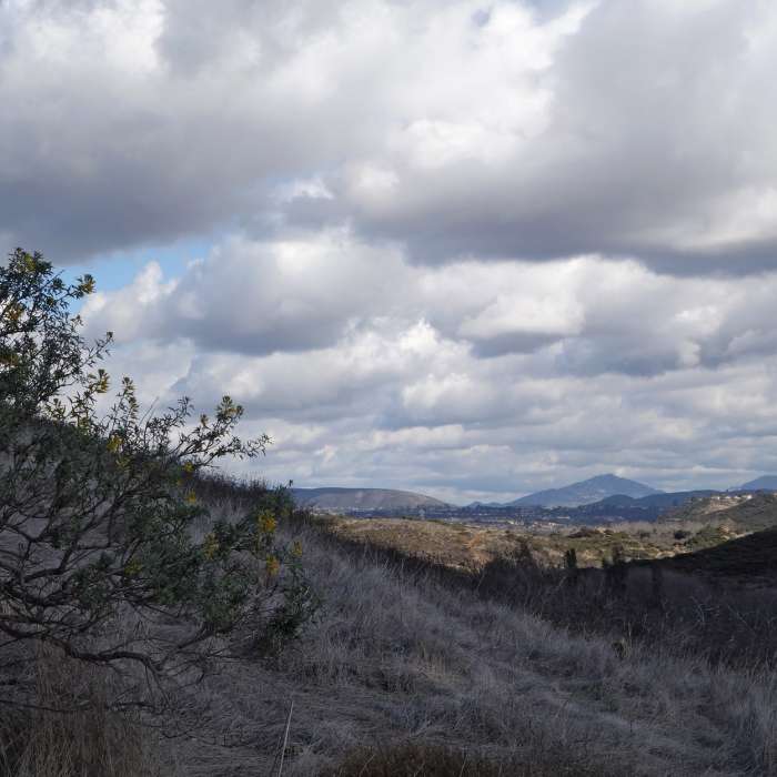 Near Penasquitos Creek Loop