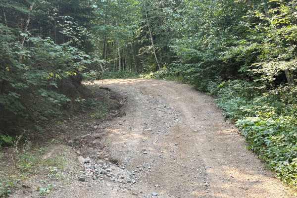 Forest Road 0402