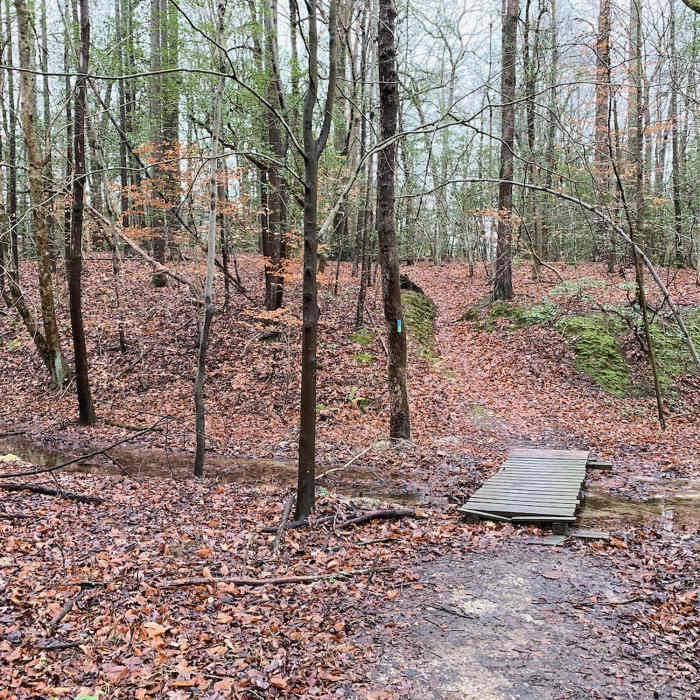 Footbridge over Plummer Branch on the Beaver-Rock Trail. Near Green Loop