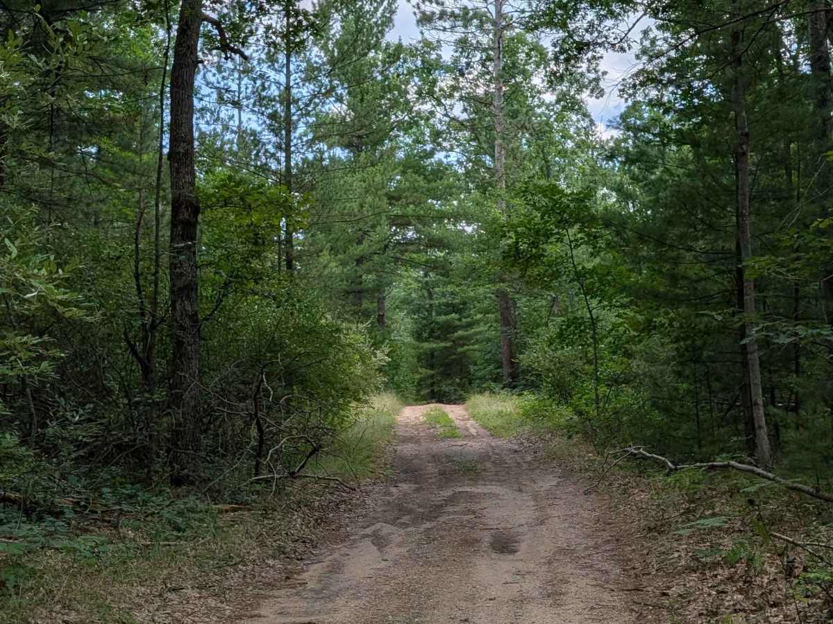Plains Creek Trail photo 4