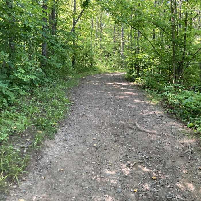 Near Silver Creek Trail Near Silver Creek Trail