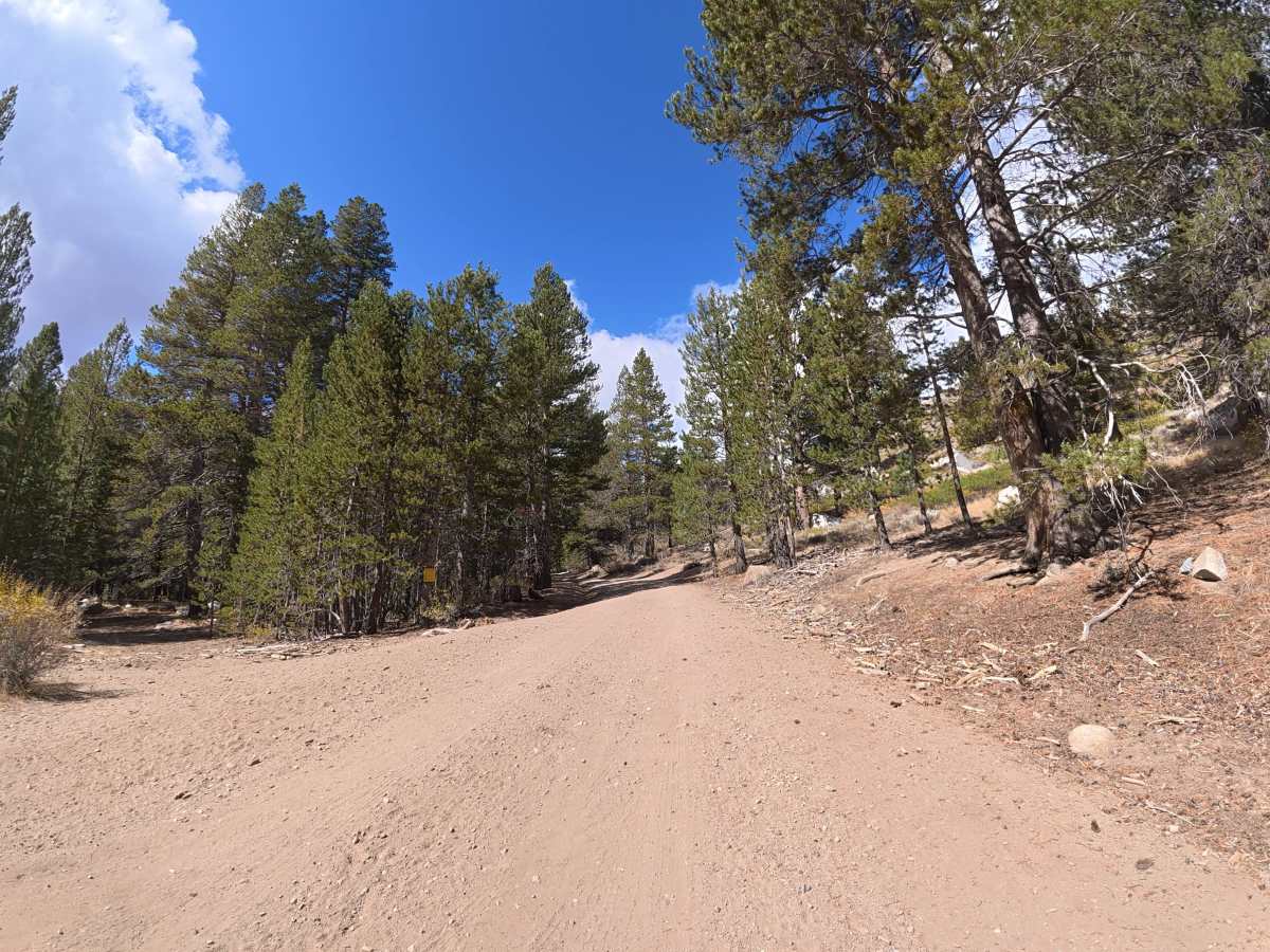 Wolf Creek Spur Road trail photo
