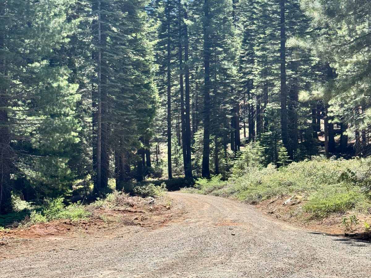 Colby Mountain Lookout - FS 27N36 trail photo