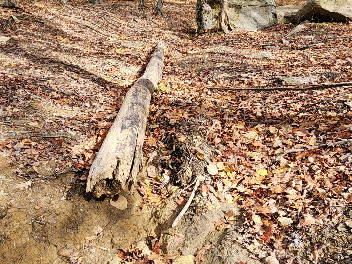 OHV 13 - Rock Run Recreation Area photo 4