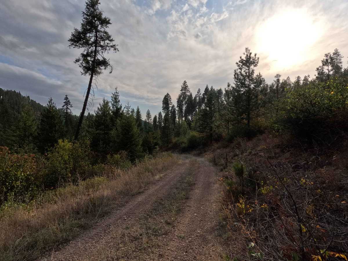 DNR Road 344428E photo 2