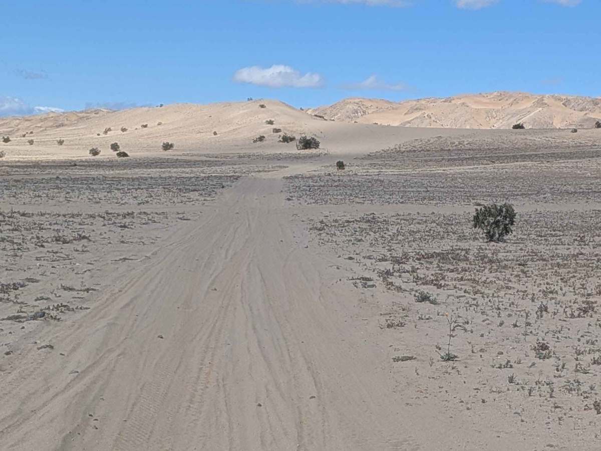 BLM 197 trail photo