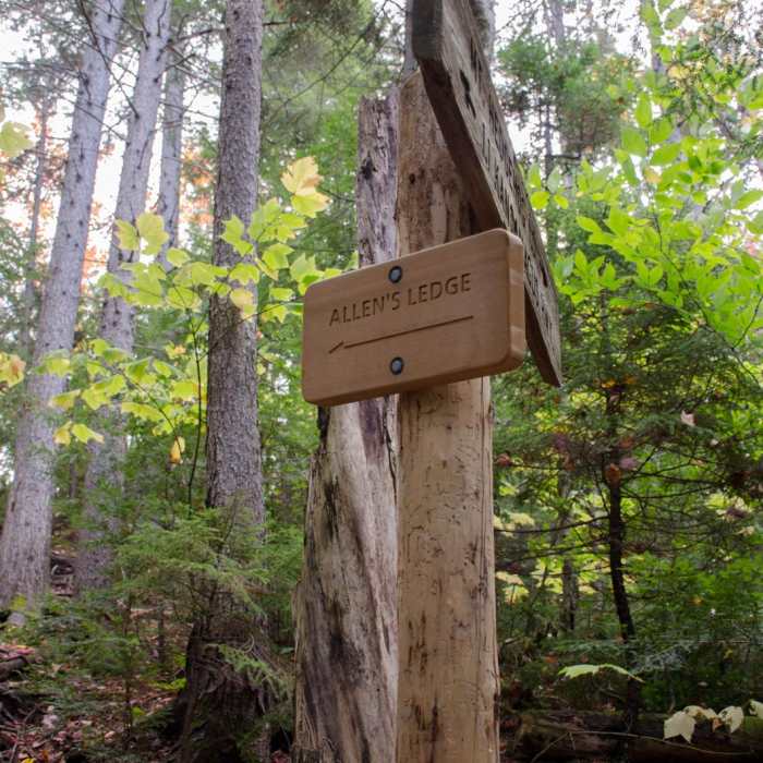 Near Hedgehog Mountain Near Hedgehog Mountain