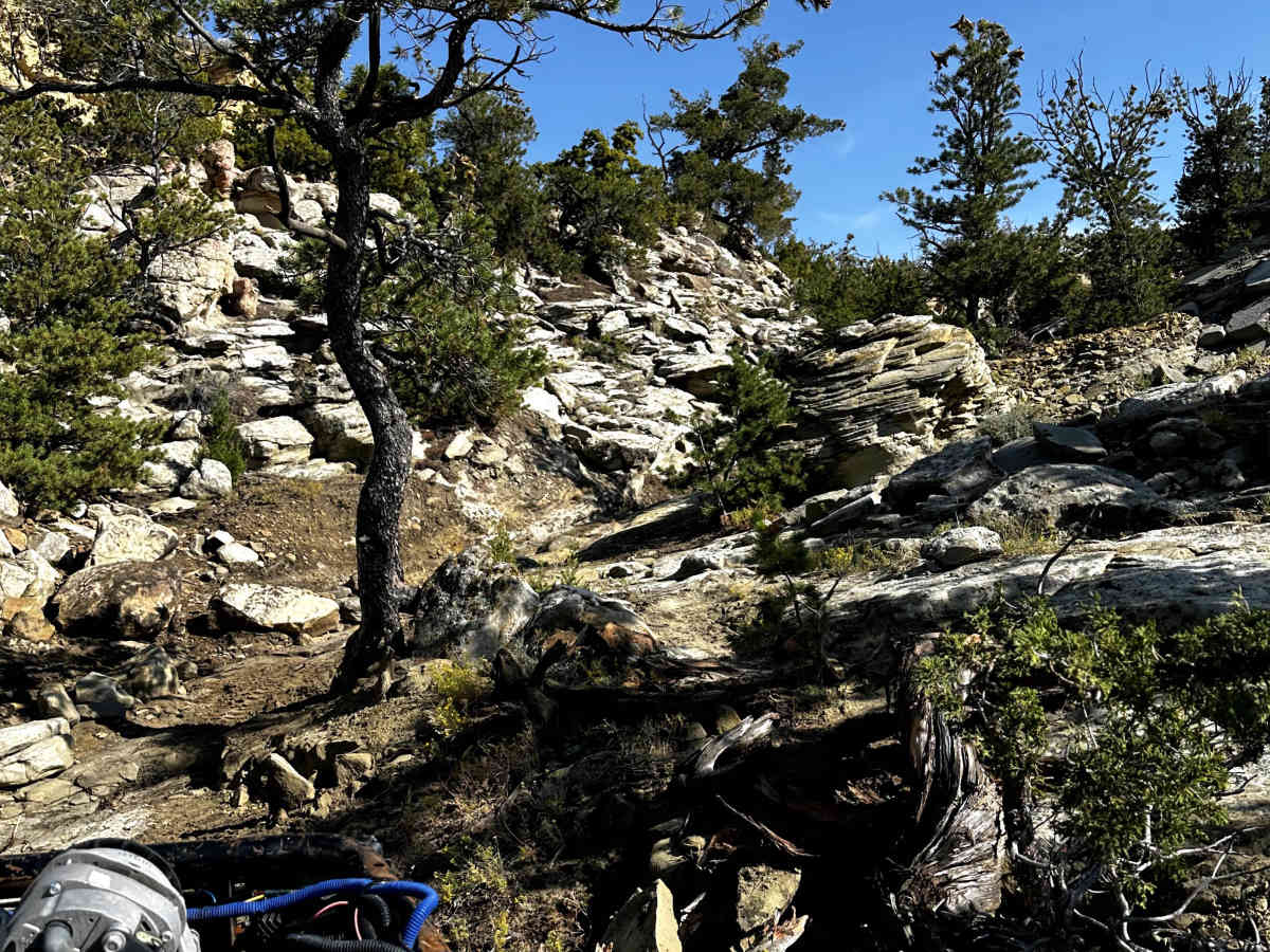 Slick Rock photo 3
