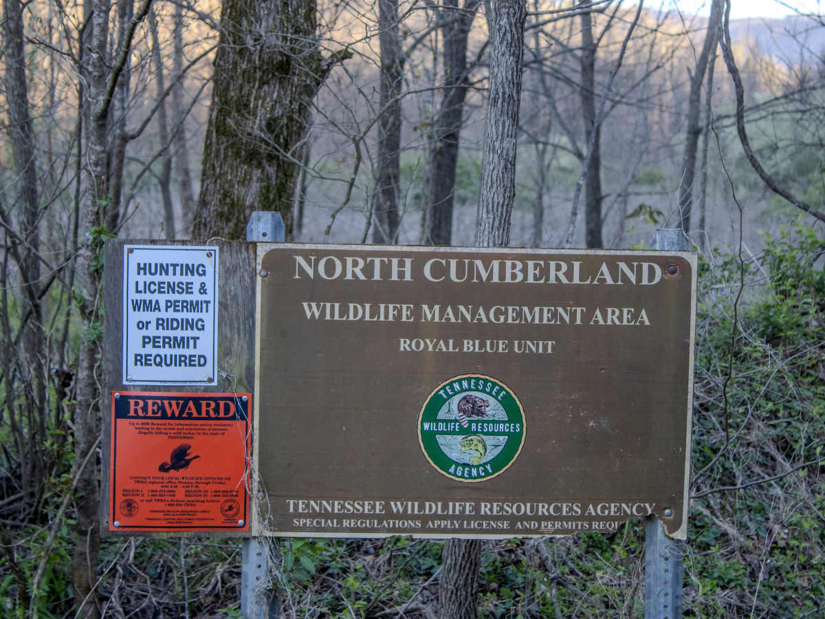 Montgomery Road trail photo
