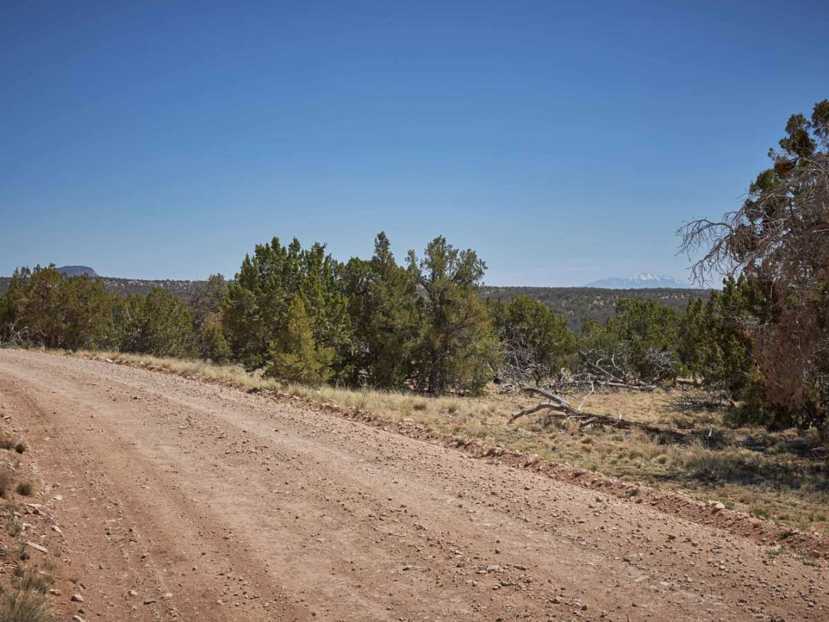 Old 347 Road / Anita photo 6