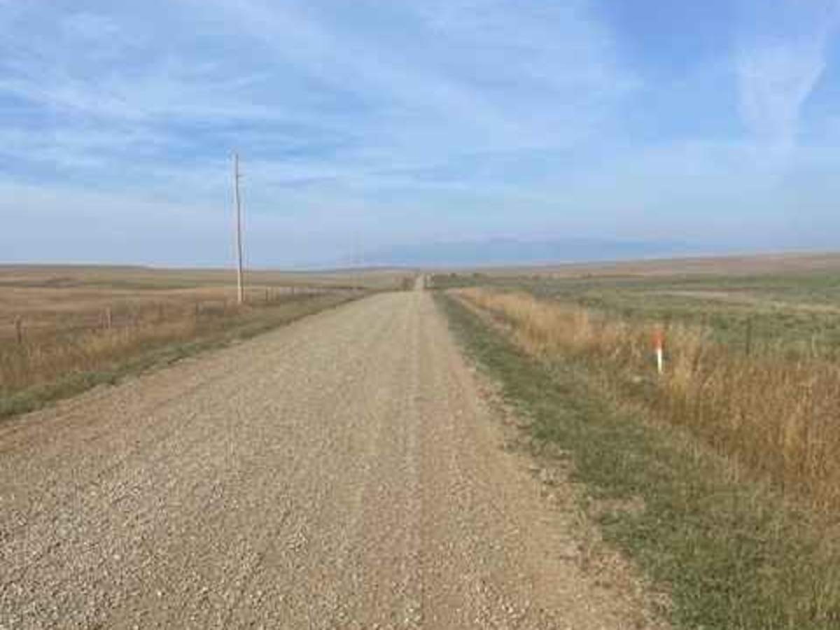 Rapelje Road photo 3