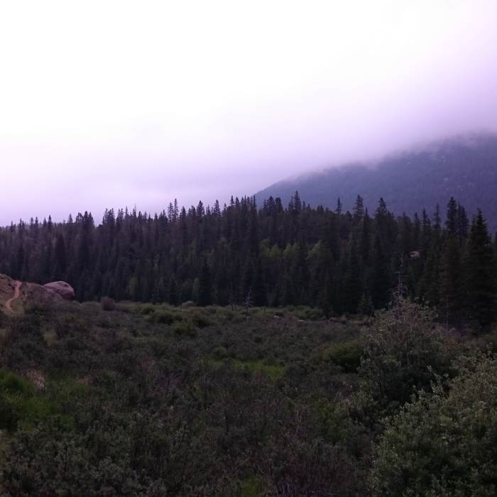 Near Horsethief Park Trail (#704)