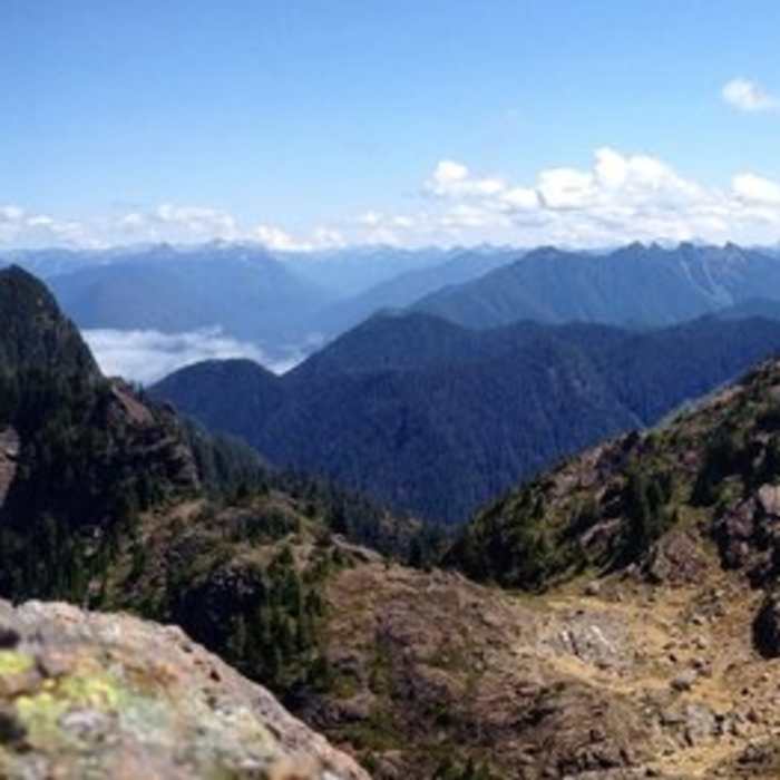 Near Pete's Creek Trail to Colonel Bob Summit