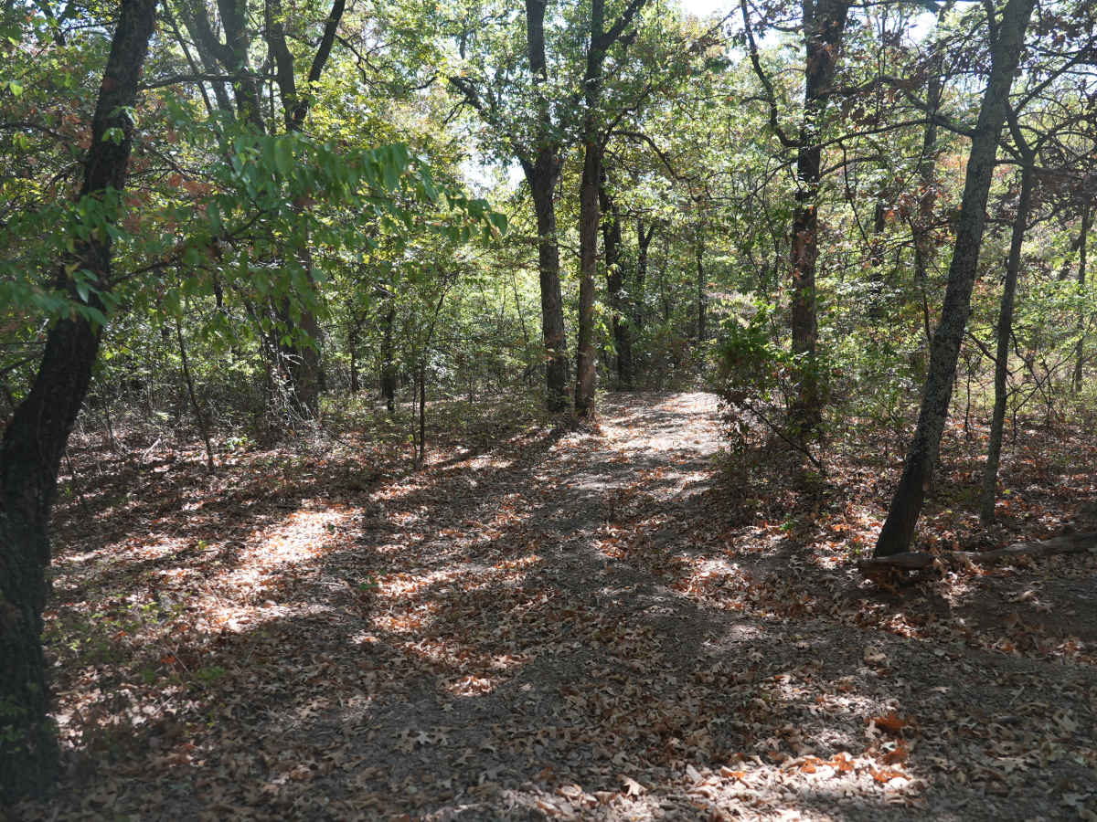 Green 23 trail photo
