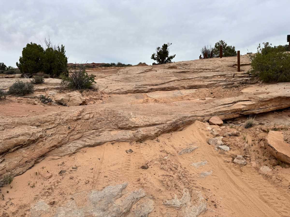 7 Up photo 3