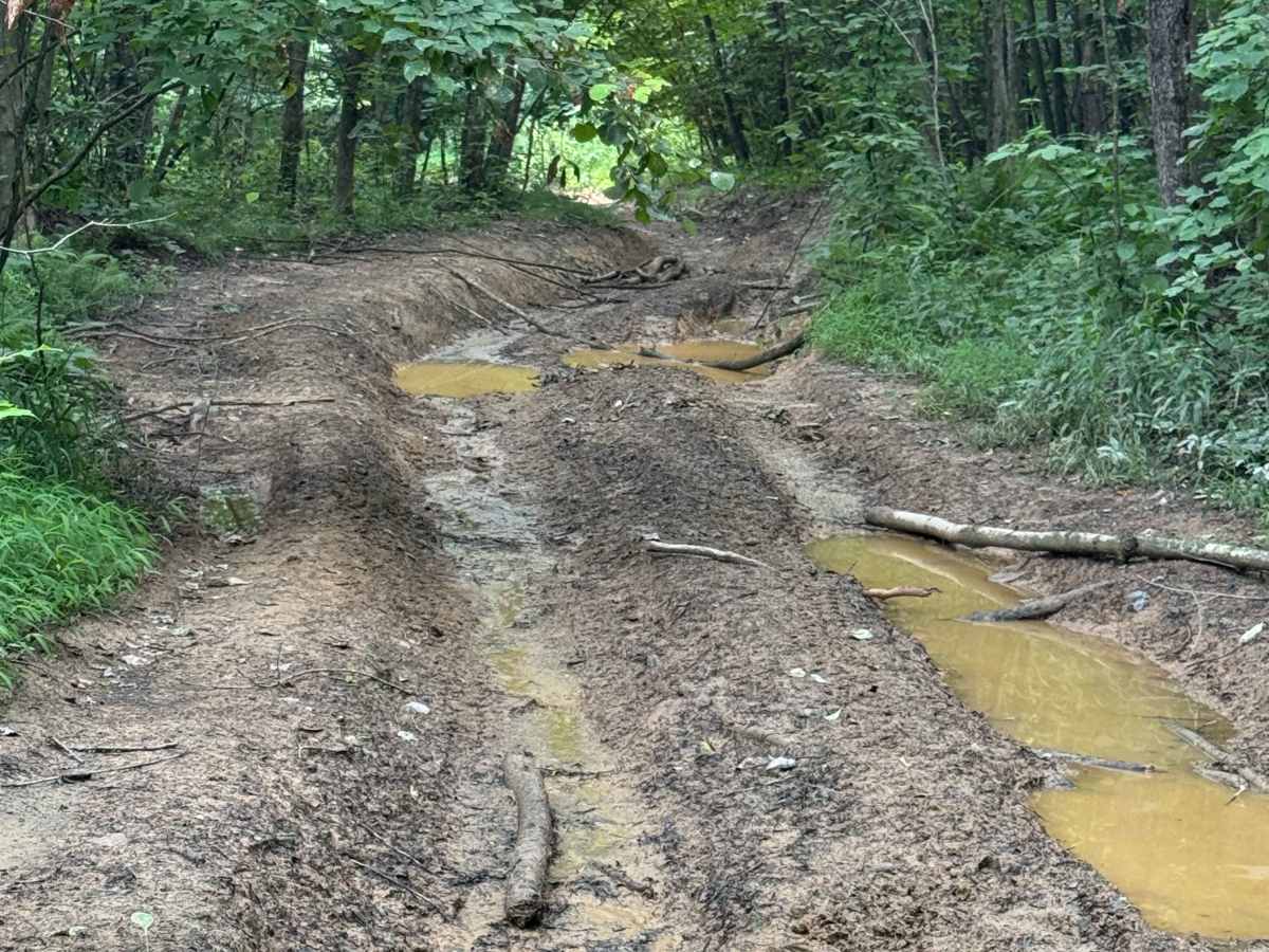 Trail 81 photo 5