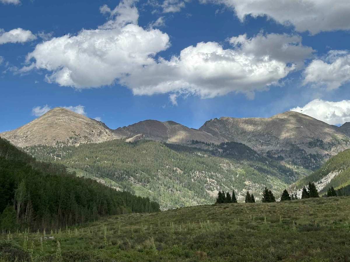 Woods Lake photo 6