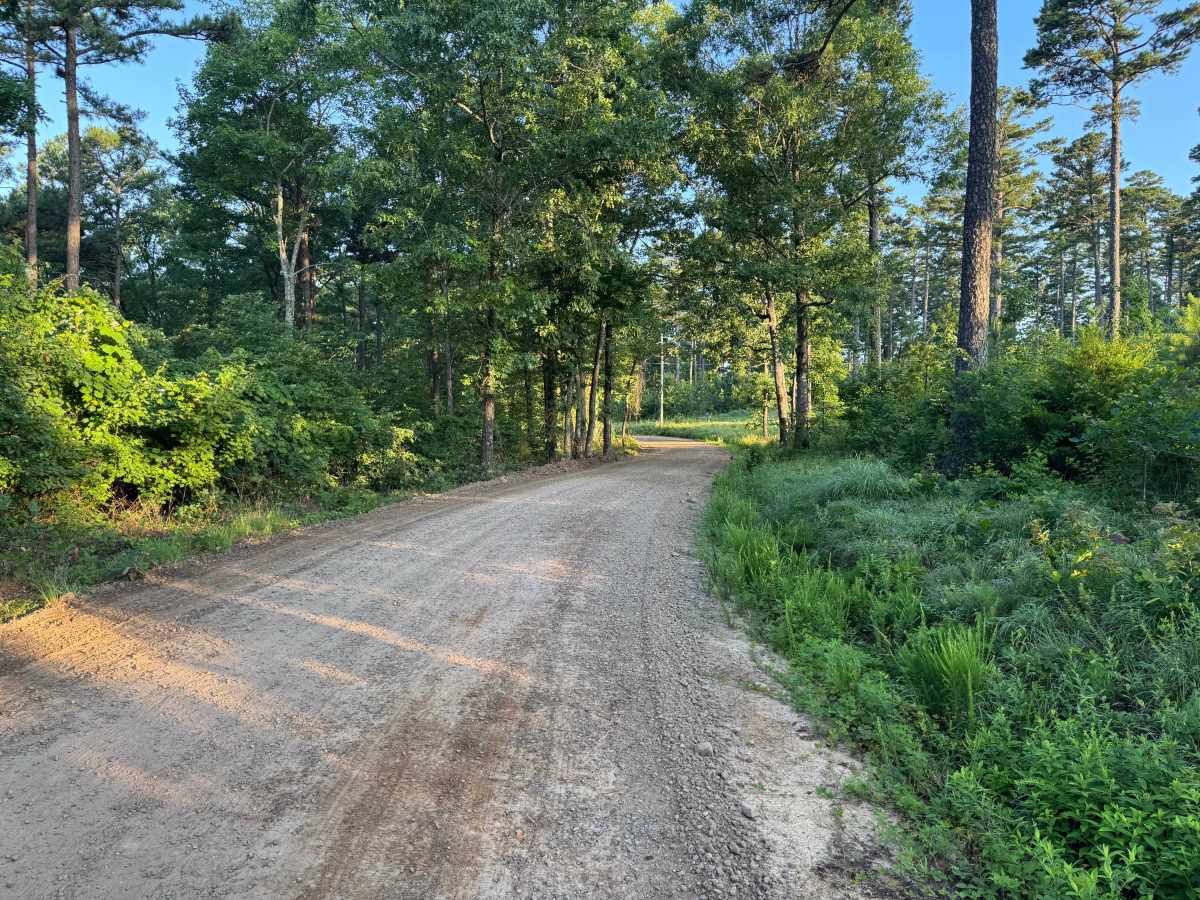 County Road 5419 photo 3