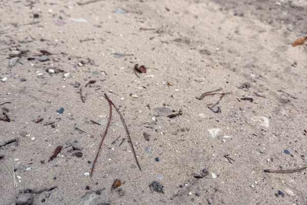Deer Trail